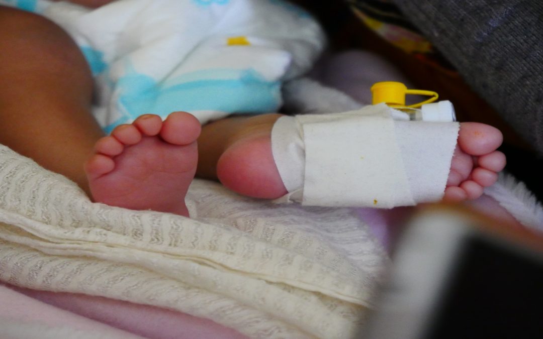 Birth Defects Research Article